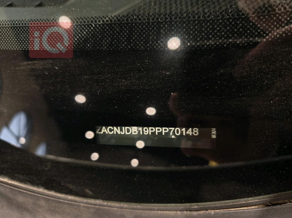 جيب رينيجيد